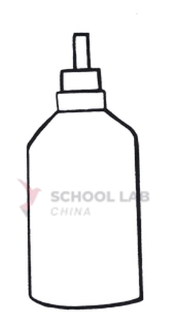 Bottle,plastic,250ml,wash bottle
